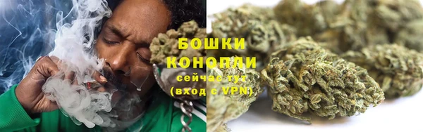 стаф Гусь-Хрустальный