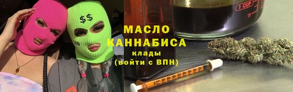 стаф Гусь-Хрустальный