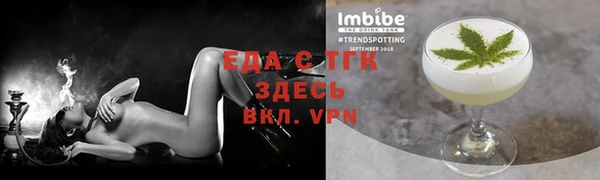 МДПВ Гусев