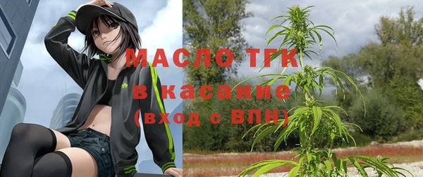 МДПВ Гусев