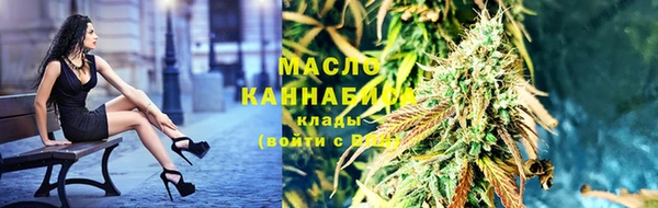 МДПВ Гусев