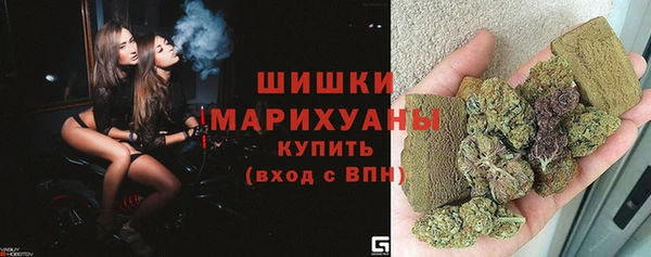 стаф Гусь-Хрустальный