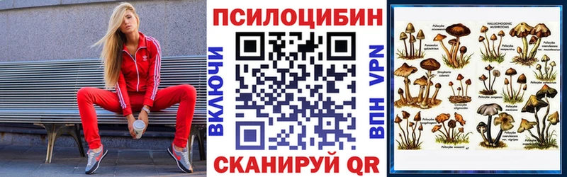 как найти наркотики  Можайск  кракен онион  Галлюциногенные грибы мухоморы 