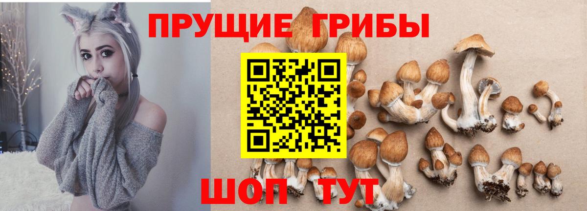 Галлюциногенные грибы Magic Shrooms Можайск