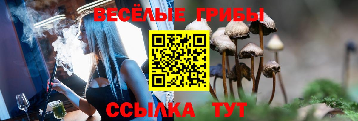 Можайск  Псилоцибиновые грибы Cubensis  Вход с VPN  Псилоцибиновые грибы мицелий 